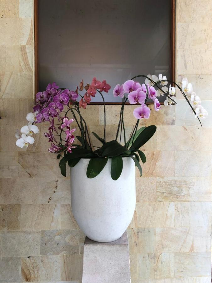 Ocean Suite By A&J - Exceptional Beachfront Apartment - Candidasa 외부 사진